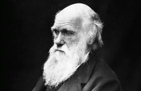 Darwin loriginal-cite des sciences copie